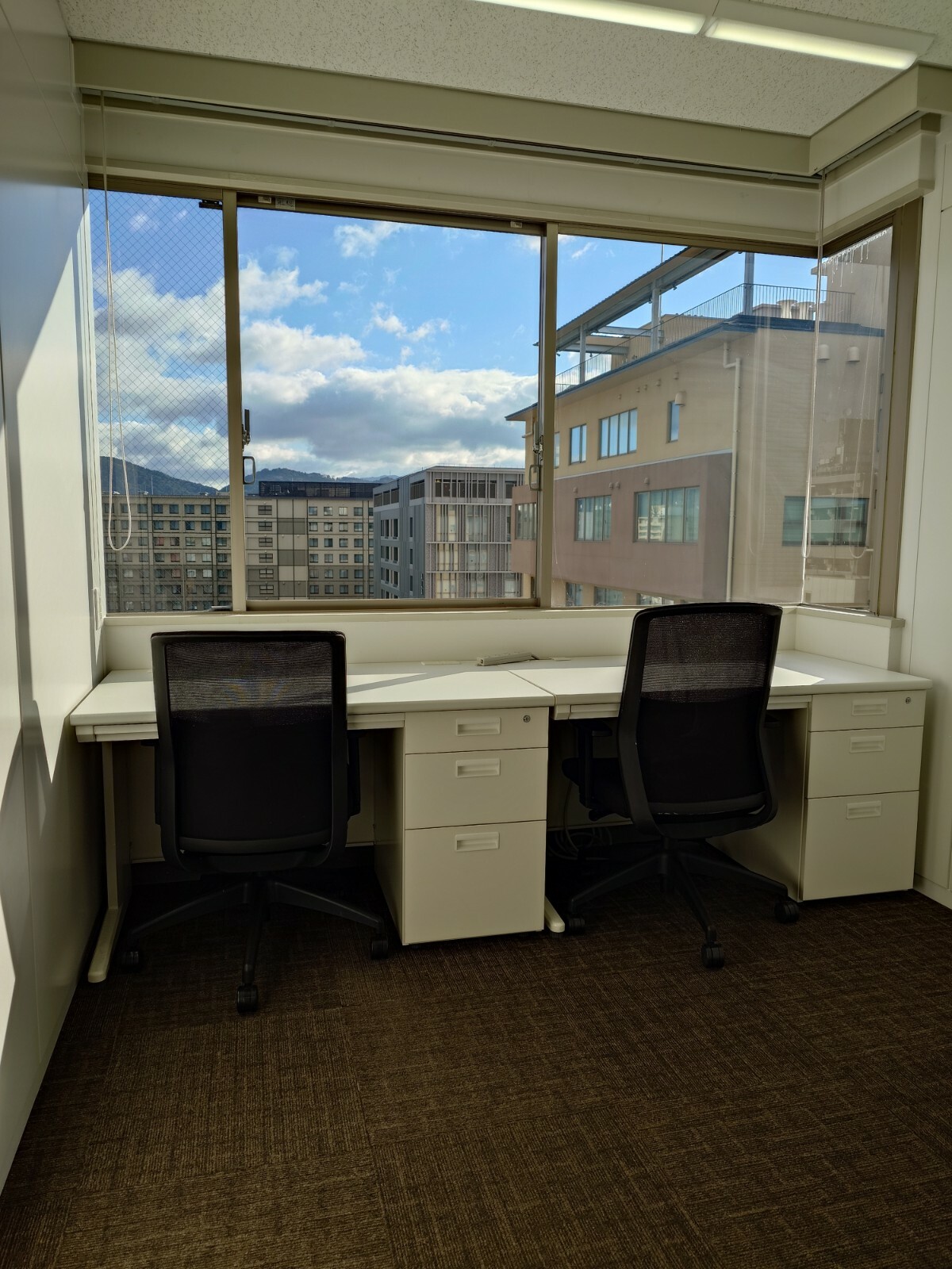 Photo_26-01-08-09-45-34.300