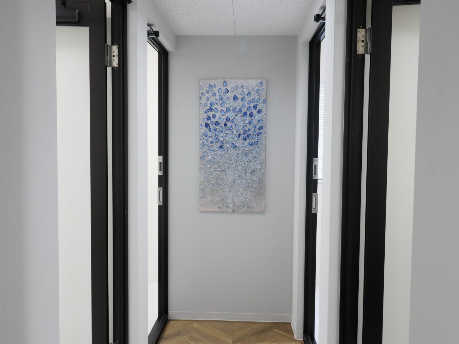 共有部_廊下。個室オフィスは施錠可能となっています。