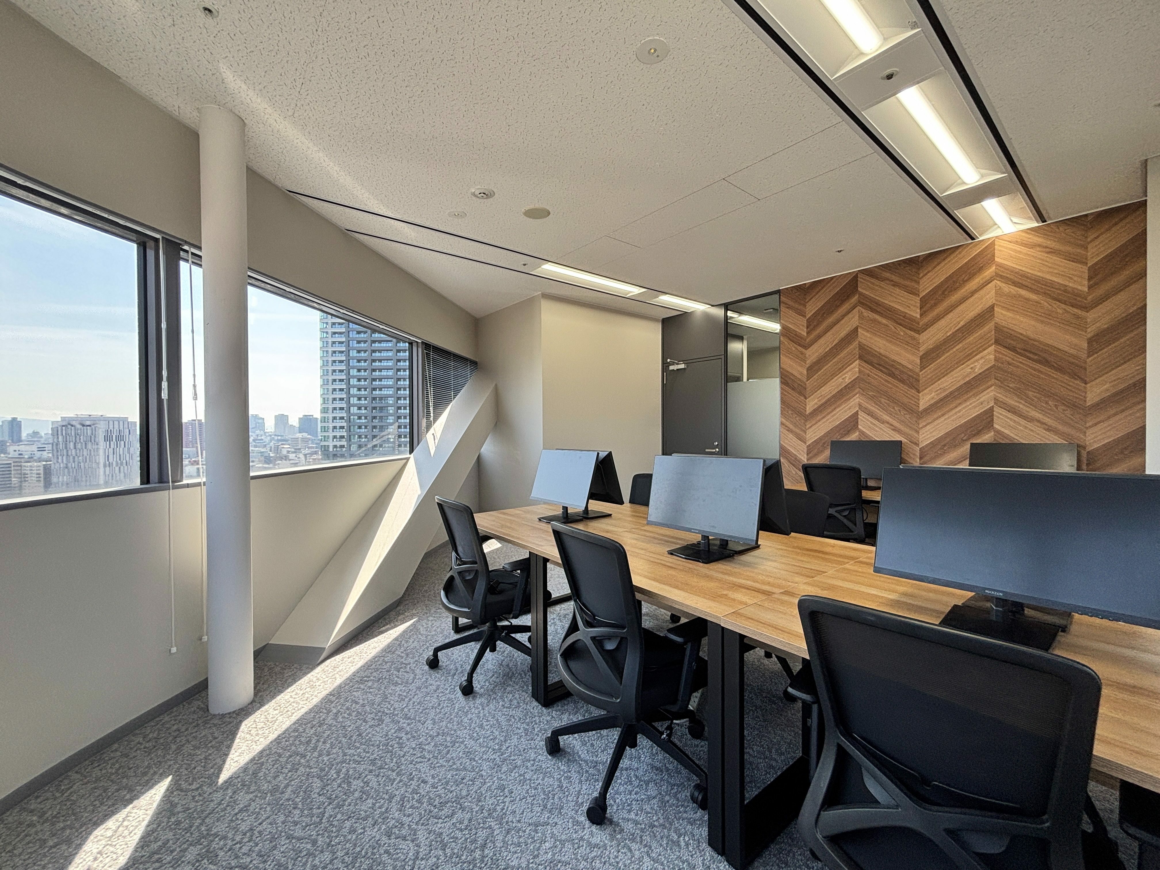 Image__6__compressed