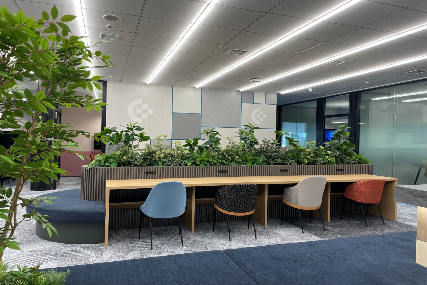 img_Shibns_reception_coworkingarea12