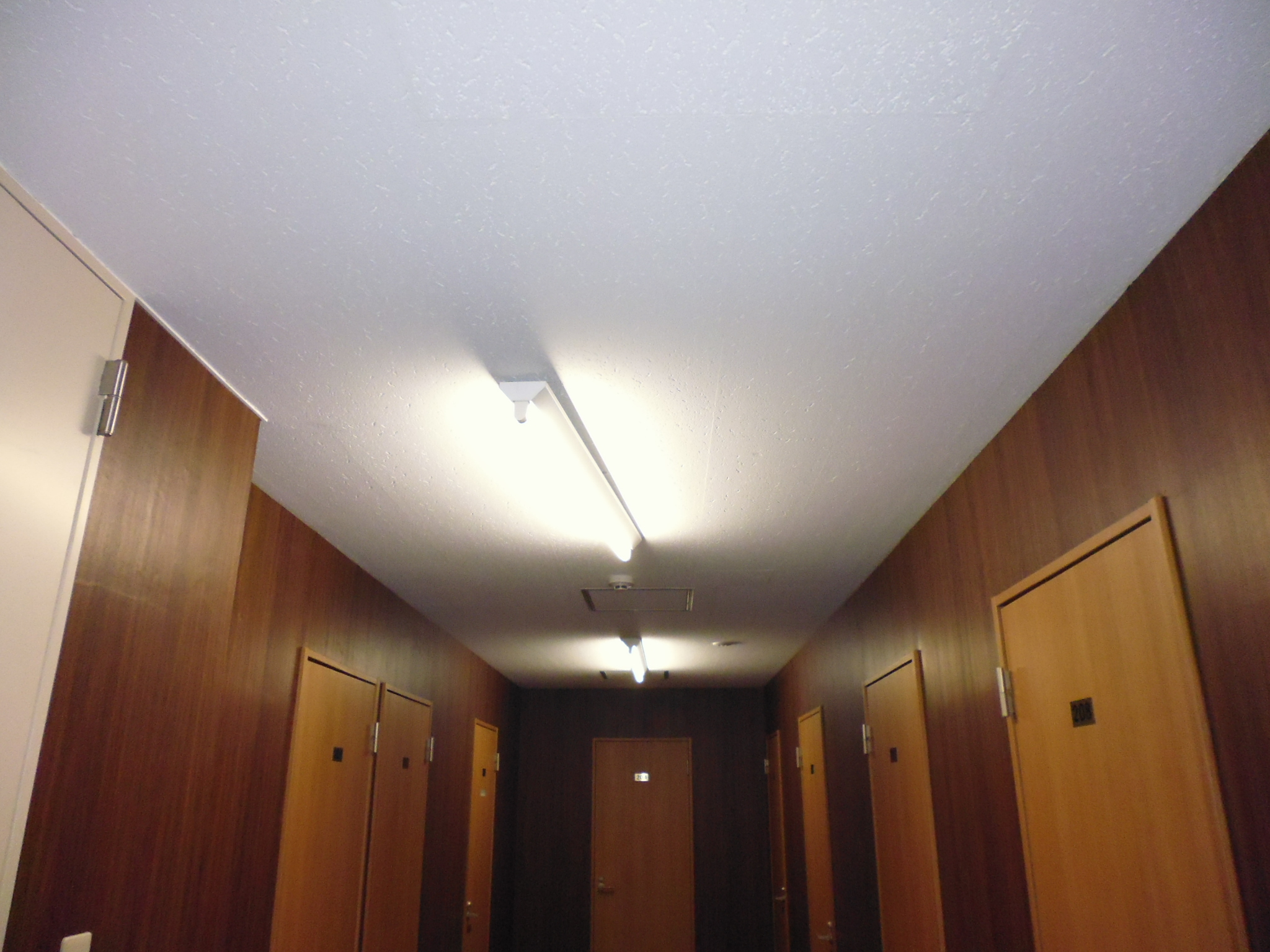 内観_廊下部分の写真です。