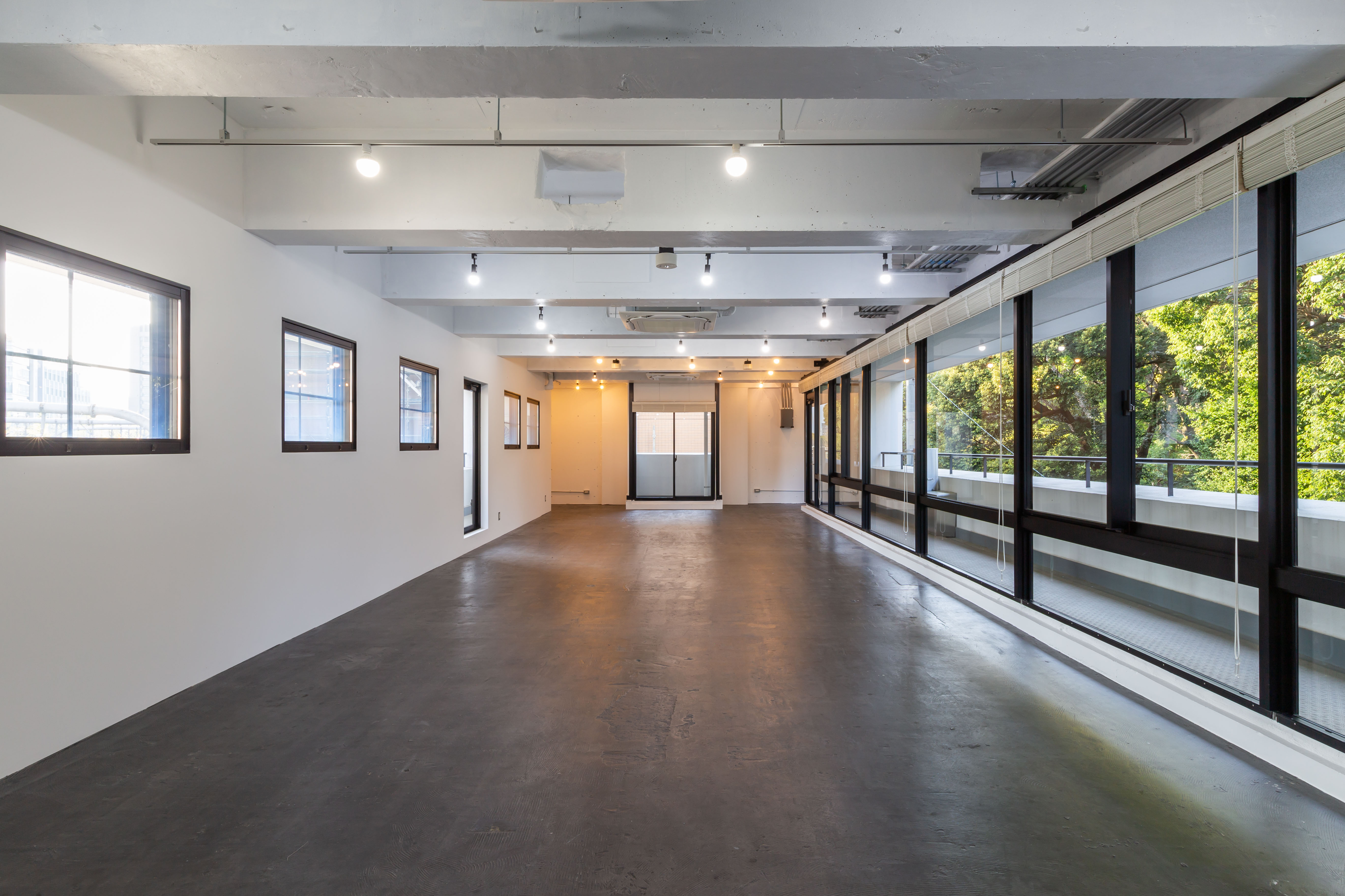 IVY_2F_IMG_0123